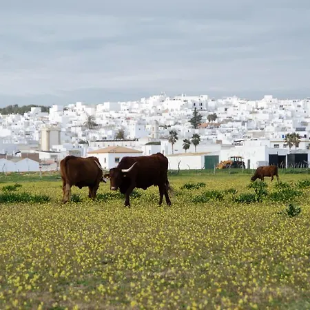 Pensión Ferreira Boutique 3*