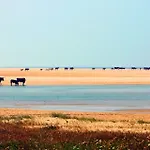 Ferreira Boutique 3* Conil De La Frontera