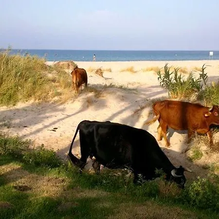 Maison d'hôtes Ferreira Boutique 4*